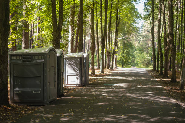 Portable Toilet Options We Offer in Lorane, PA